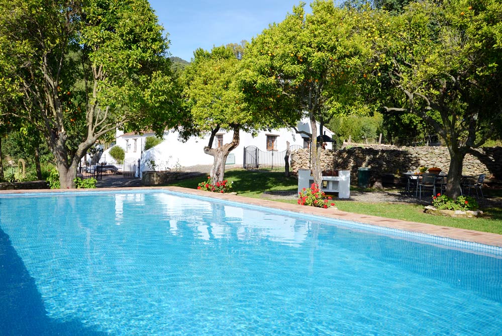 Pool and garden area